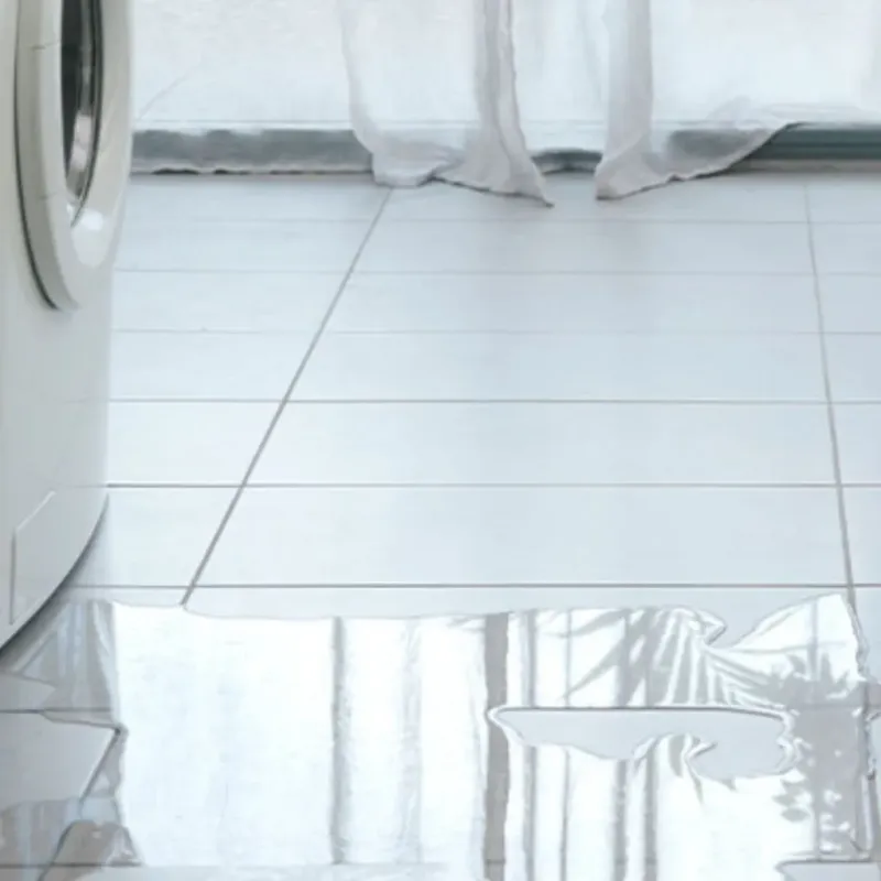 Appliance Leak Cleanup in Big Rapids, MI