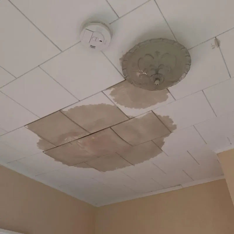 Ceiling Water Damage Repair in Big Rapids, MI