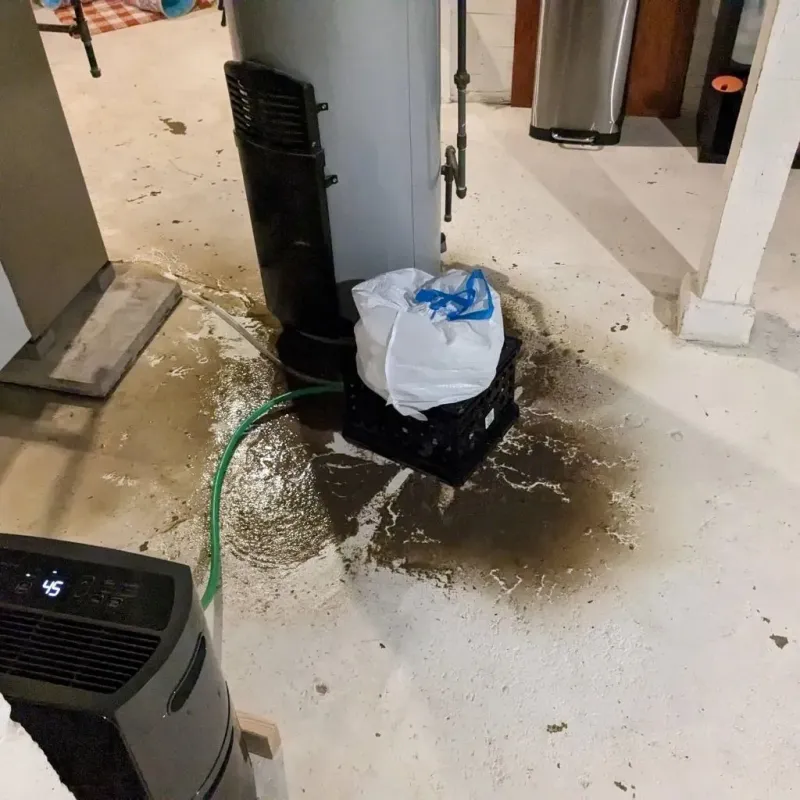 Sewage Backup Cleanup Service in Big Rapids, MI